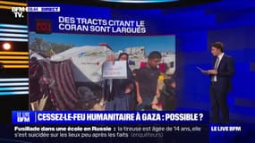 LES ÉCLAIREURS - Est-ce qu'un cessez-le-feu humanitaire est possible à Gaza?