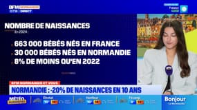BFM Normandie et vous: le nombre de naissances en baisse de 20% en 10 ans