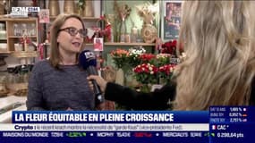 Impact : La fleur équitable en pleine croissance, par Cyrielle Hariel - 26/05