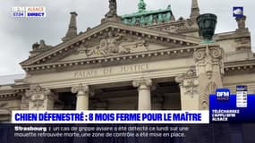 Strasbourg: l'homme qui a défenestré son chien condamné à huit mois de prison ferme