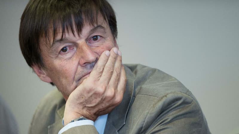 Nicolas Hulot, alors ministre de la Transition écologique et solidaire, en juin 2017
