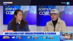 Top Sorties Alsace du vendredi 13 décembre - Une galerie d'art urbain éphémère à Colmar 