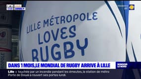 Coupe du monde de rugby: un mois avant le premier match à Lille