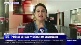 "Vous nous avez arraché Estelle": les  témoignages poignants de la famille Mouzin lors du procès de Monique Olivier