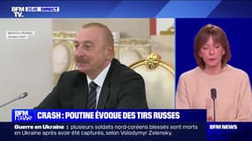 Crash :  Poutine évoque des tirs russes - 28/12