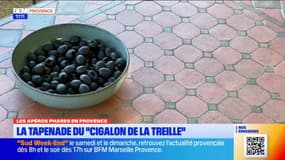 Les apéros phares en Provence: la tapenade du Cigalon de la Treille