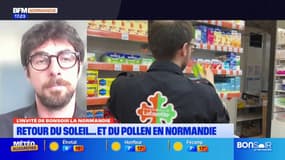 Normandie: un nouvel indice pollen créé pour surveiller sa présence commune par commune