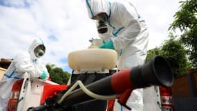 Opération de fumigation pour lutter contre les moustiques vecteurs de la dengue, le 28 avril 2020 à La Possession, sur l'île de La Réunion (Photo d'illustration)