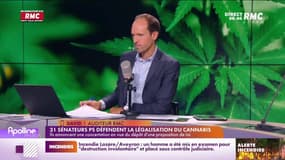 Le parti-pris : 31 sénateurs défendent la légalisation du cannabis - 11/08