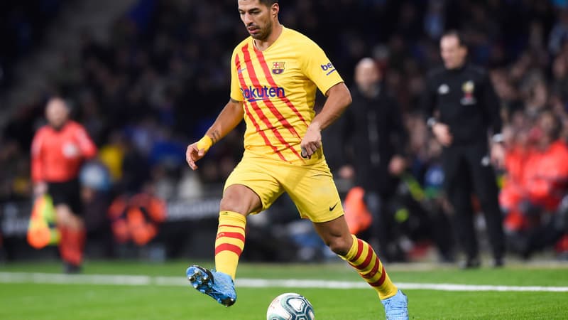Suarez