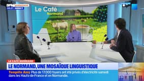 Le Café Normand: les différents patois normands