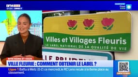 BFM Nord et vous: comment obtenir le label ville fleurie?