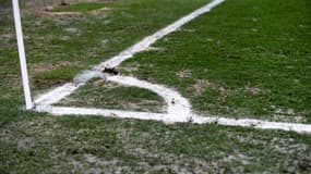 Football : enquête en Martinique sur deux matchs suspects