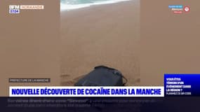 Normandie: des sacs remplis de drogues découverts dans la Manche 