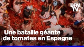 Espagne: "La Tomatina", une gigantesque bataille de tomates