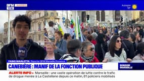 Marseille: manifestation de la fonction publique sur la Canebière