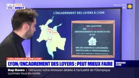 Lyon: l'encadrement des loyers pas toujours respecté, d'après une étude