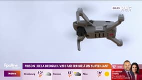 Prison: de la drogue livrée par erreur à un surveillant 