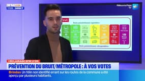 Métropole de Lyon: une consultation lancée pour prévenir le bruit