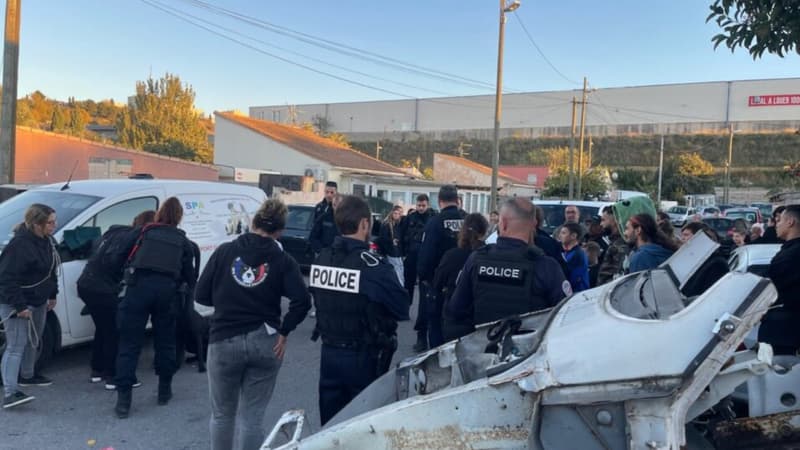 Des animaux saisis dans un camp de gens du voyage à Marseille.