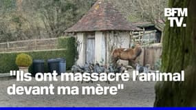 Deux chasseurs et leur meute de chiens s'introduisent dans la propriété de Luc Besson et tuent un cerf sous les yeux de sa mère de 85 ans 