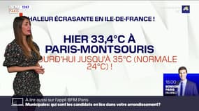 Météo Paris-Ile de France du 25 juin: Des tempréatures caniculaires cet après-midi