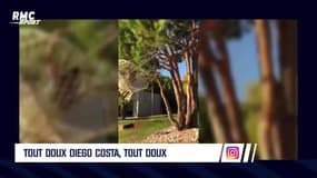 Evra, Costa, Cavani... L'Actu Sport.Net du 3 octobre 2018
