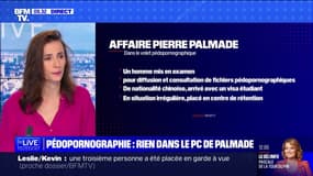 Affaire Pierre Palmade: un homme mis en examen pour diffusion et consultation habituelle de fichiers pédopornographiques