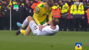 Norwich-Brentford  : Williams en colère face à Eriksen