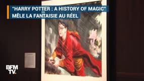 Pour ses 20 ans, une exposition retrace l’univers de Harry Potter
