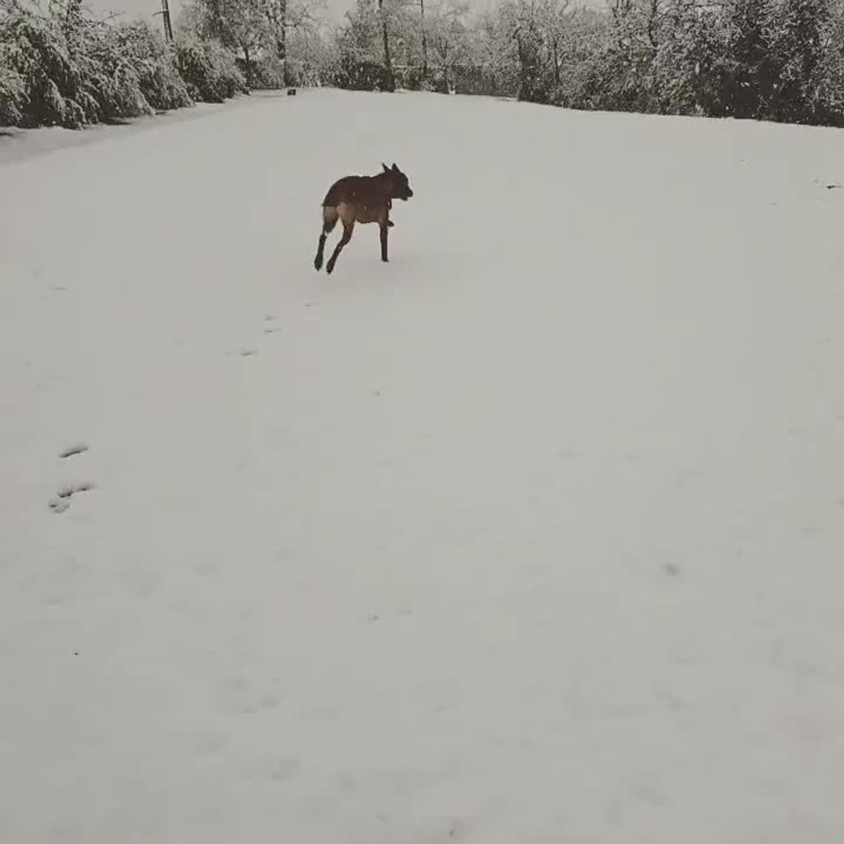 placeholder video