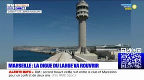 La ville de Marseille a-t-elle le port le plus pollué de France? 