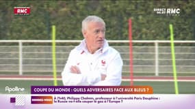 Mondial 2022 : quels adversaires face aux Bleus ? 