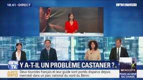 Y a-t-il un problème Castaner ? (2/2)