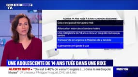 Essonne: Une adolescente de 14 ans tuée dans une rixe entre bandes rivales