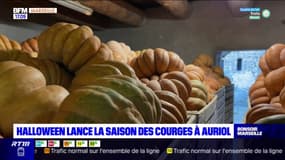 Bouches-du-Rhône: Halloween lance la saison des courges à Auriol