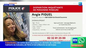 Seine-Maritime: la police lance un appel à témoins pour retrouver Angie Piguel, disparue le 8 novembre 