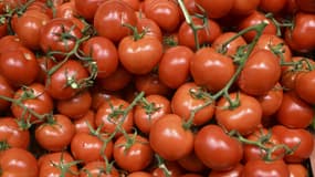Des tomates vendues dans un supermarché de Septèmes-les-Vallons (Bouches-du-Rhône), le 3 novembre 2022.