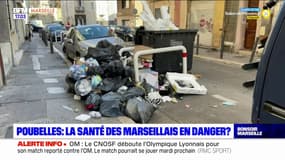 Poubelles: la santé des Marseillais en danger?