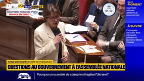 Crise agricole: "Votez le Budget !", lance la ministre de l'Agriculture Annie Genevard à l'Assemblée