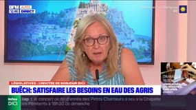 Législatives: quelles solutions pour sauver la saison estivale dans les Hautes-Alpes? La réponse de la candidate Ensemble! Pascale Boyer