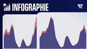 Covid-19: Pour Covid/ Avec Covid