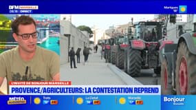 Bouches-du-Rhône: la grogne remonte chez les agriculteurs, qui reprennent leur mobilisation