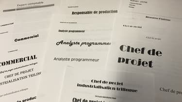 À l'heure de faire son CV, mieux vaut miser sur une police de caractère sobre.