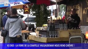 VU DICI : La foire de la Chapelle Valgaudemar nous rend chèvre ! 