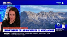 Un inventaire de la biodiversité du Mercantour