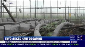 La France qui bouge : Tilyo, le CBD de gamme, par Alexandra Paget - 27/06