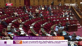 Loi immigration: le Sénat s'accorde sur un texte durci