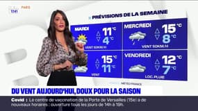 Météo Paris-Ile de France du 14 février: Du soleil, des nuages et des averses partout sur la région