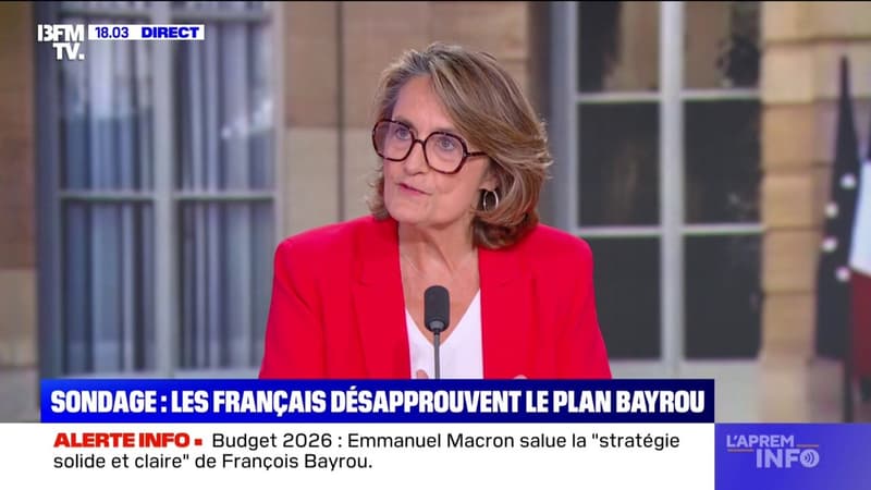 Budget: 